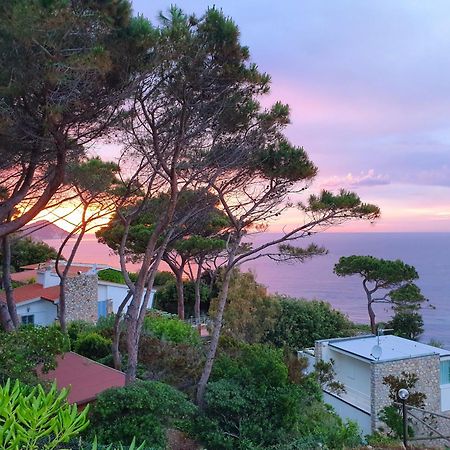 La Terrazza Sul Forno - Goelba Διαμέρισμα Portoferraio Εξωτερικό φωτογραφία